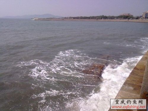 20100523266.jpg