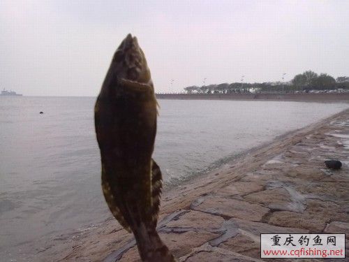 20100523274.jpg