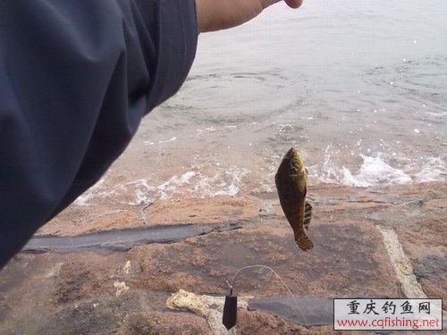 20100523275.jpg