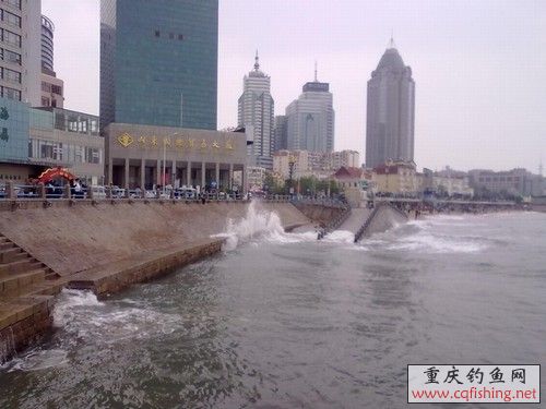 20100523291.jpg