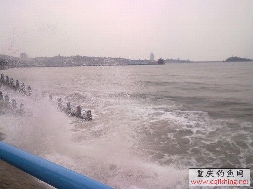 20100523293.jpg