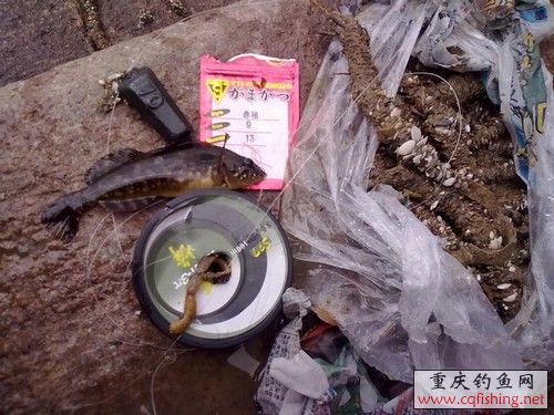 20100523280.jpg
