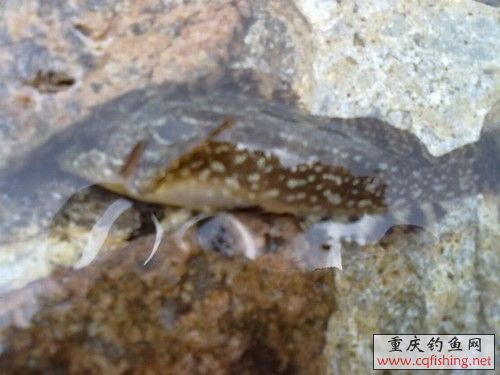20100523288.jpg