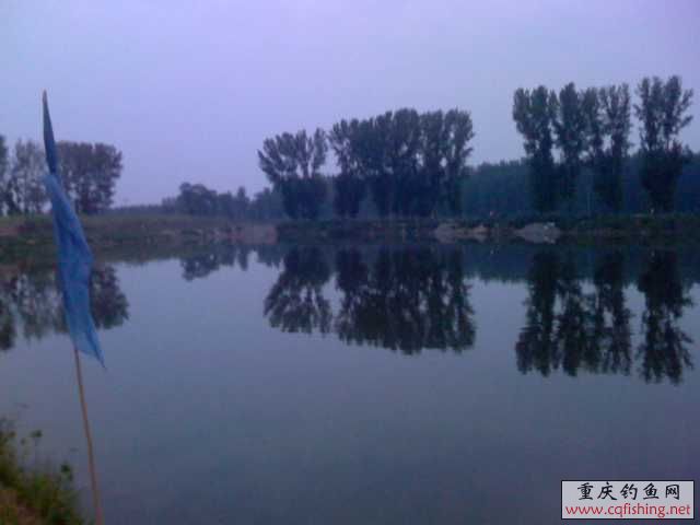 IMAG0150.jpg