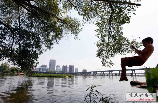 pic_79adf280eaf7839d289fb6c5743f43a9.jpg