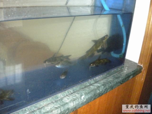 DSCN0489.jpg
