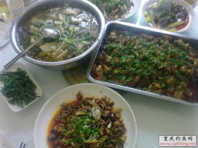 20100729300.jpg