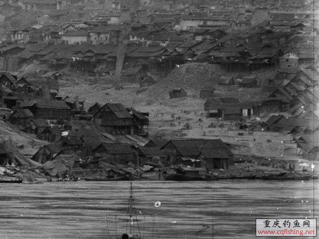 090504225609baaaa25ab43965[1].jpg