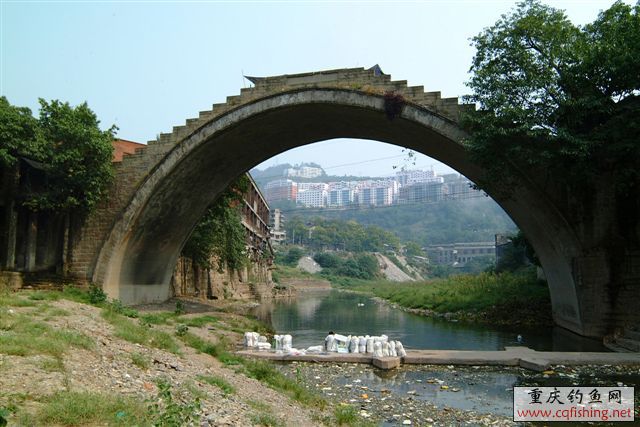 2006825134435644[1].jpg