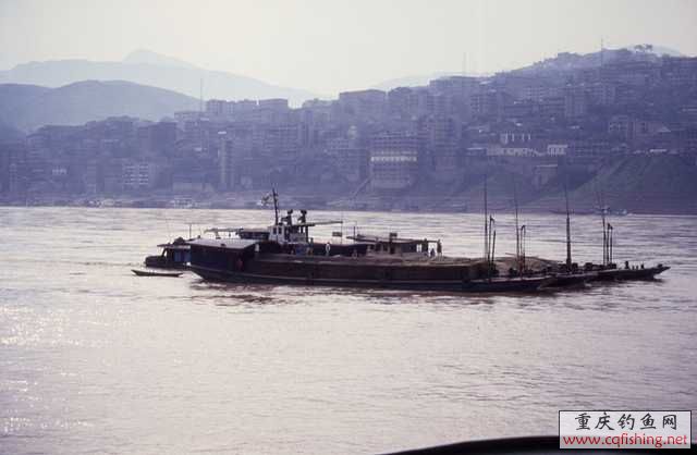 14743955_27795420[1].jpg