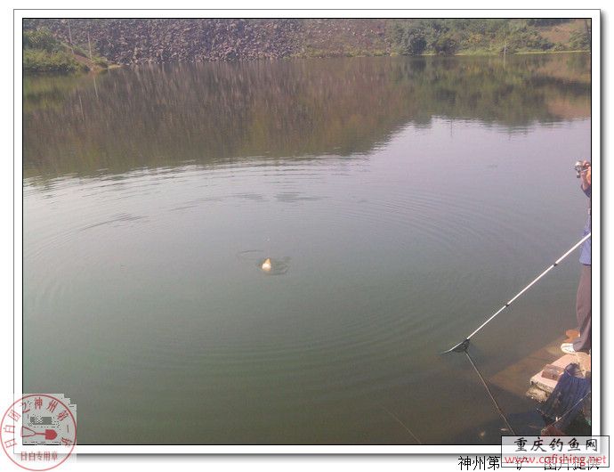 Ƭ0542.jpg
