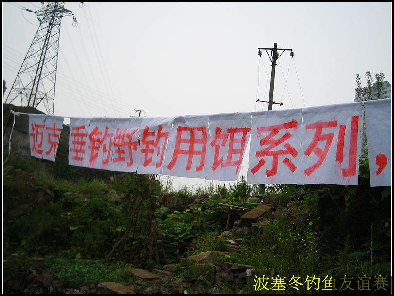 nEO_IMG_IMG_0509.jpg