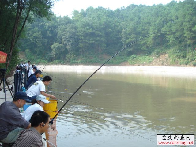 1009051244e42e06d56616647f.jpg