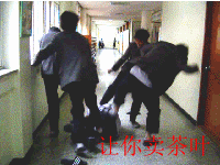 34.gif