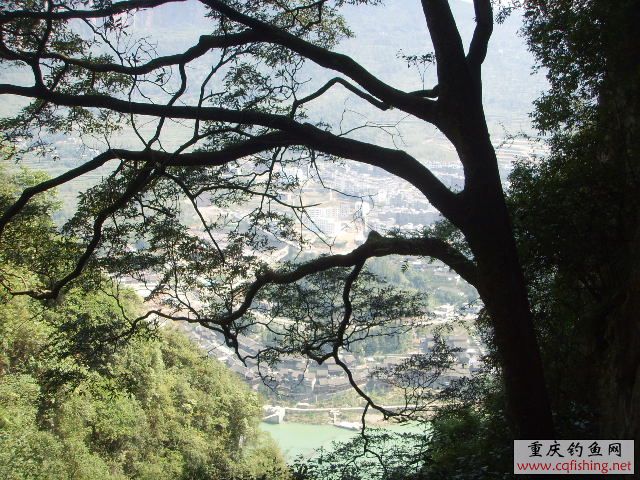 SSL16908.JPG