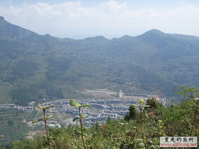 SSL16956.JPG
