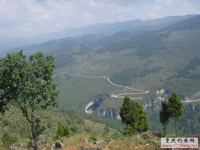 SSL16962.JPG