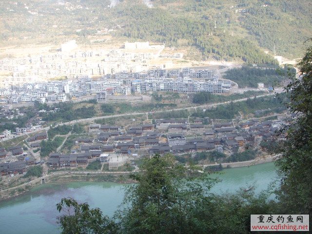 SSL17259.JPG
