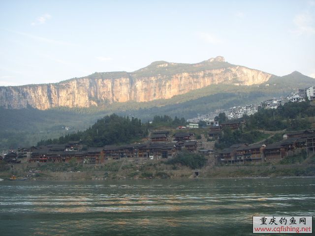 SSL17291.JPG