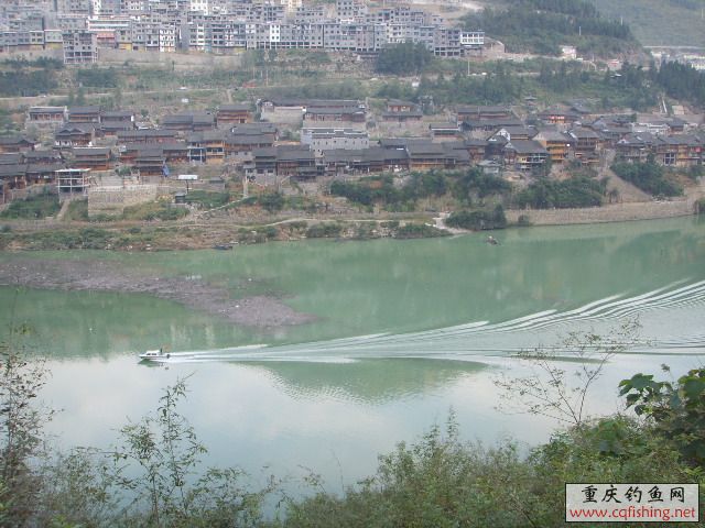 SSL17288.JPG