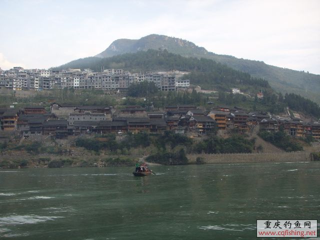 SSL17293.JPG