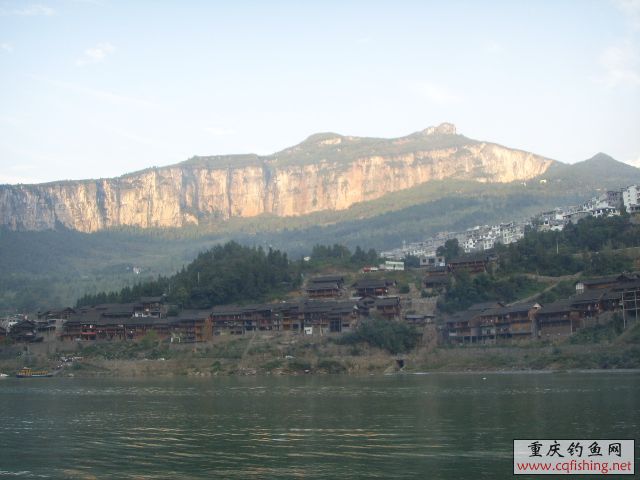 SSL17295.JPG