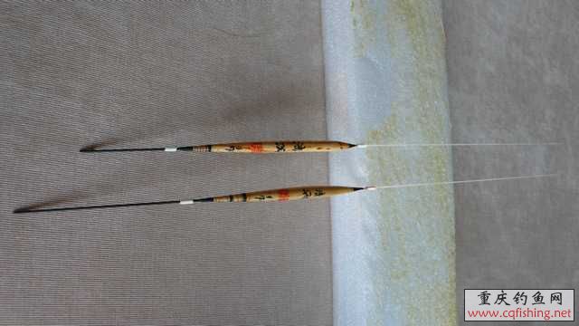 P1020182.JPG