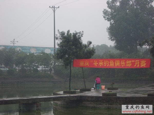 IMGP4931.jpg