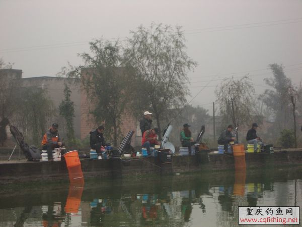 IMGP4932.jpg