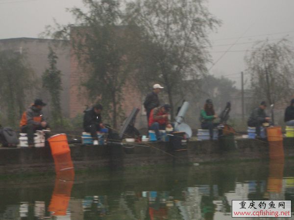 IMGP4933.jpg