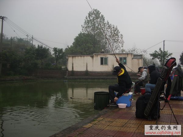 IMGP4972.jpg