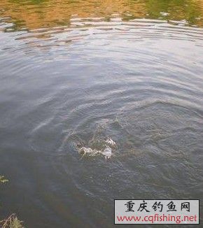 ˡ