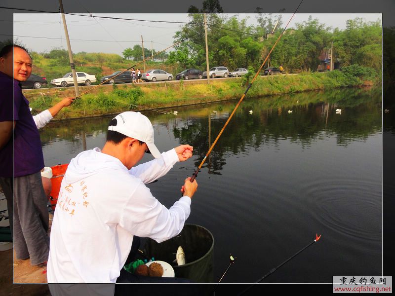 nEO_IMG_DSC00564.jpg