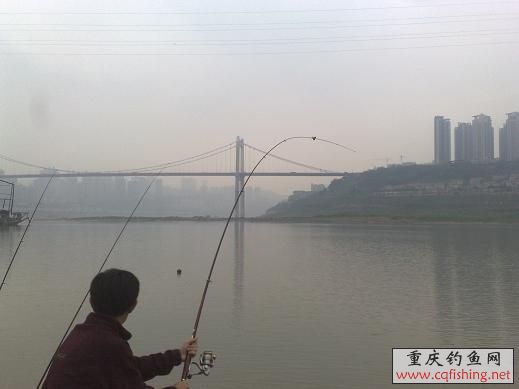 20110514443.jpg