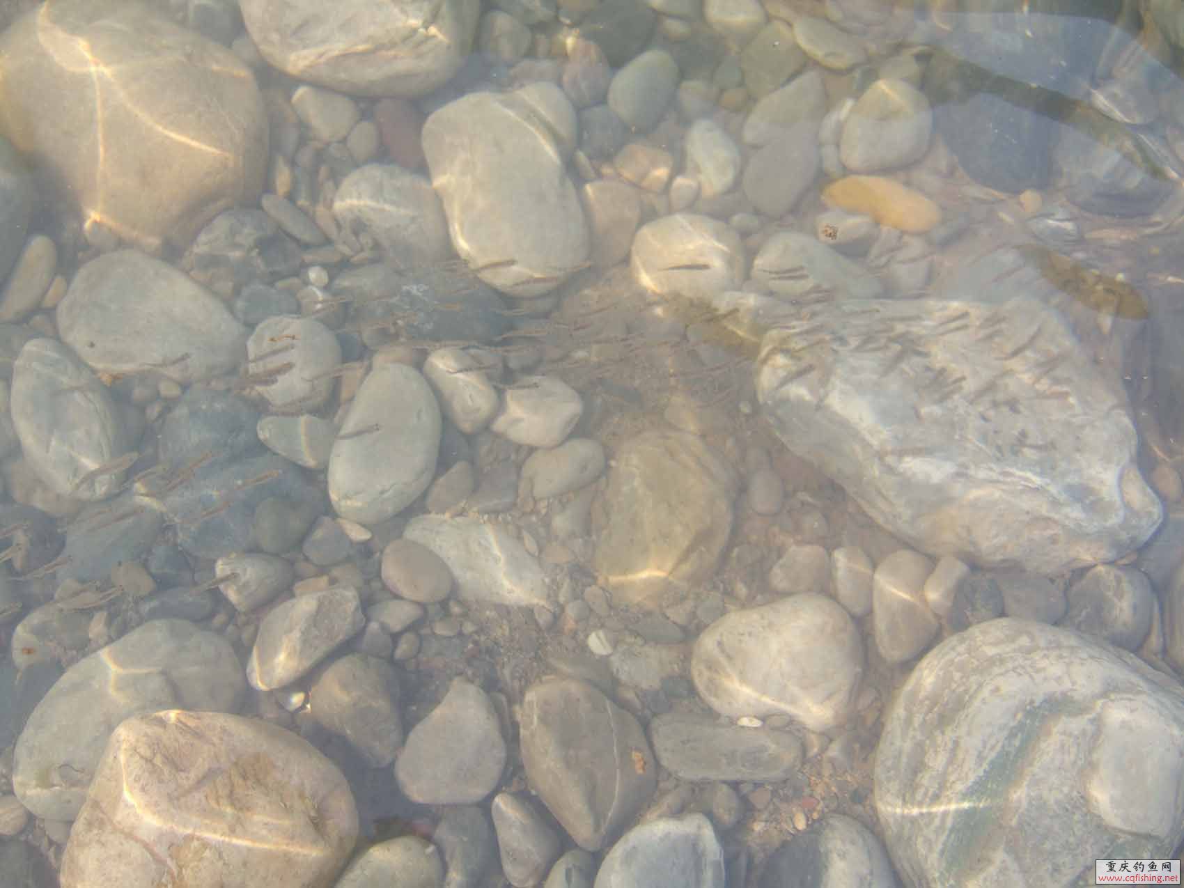 DSCF0436.JPG
