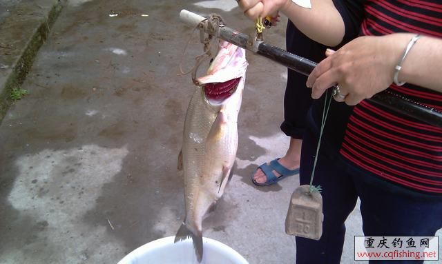 IMAG0189.jpg