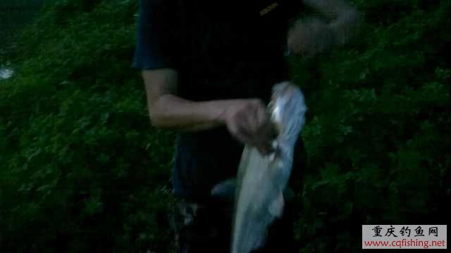 20110616115049.jpg