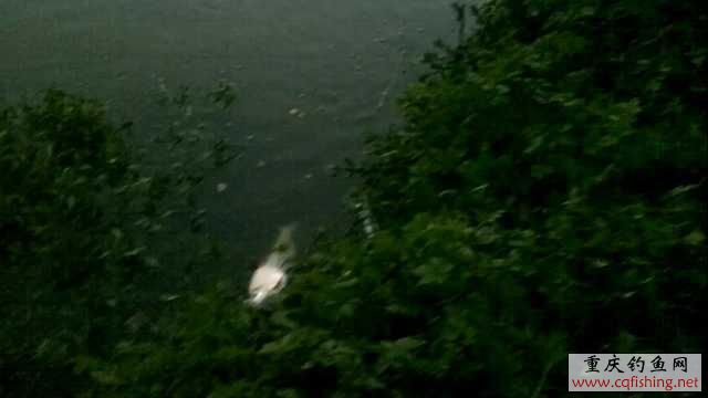 20110616114949.jpg
