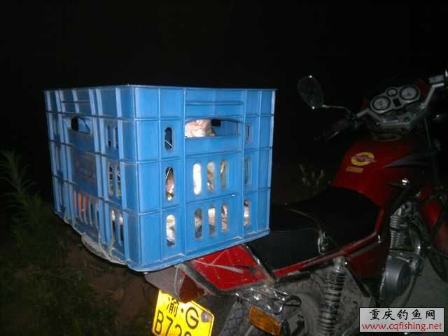 20110615738.jpg