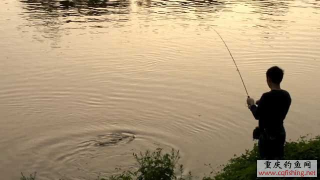 20110616115142.jpg