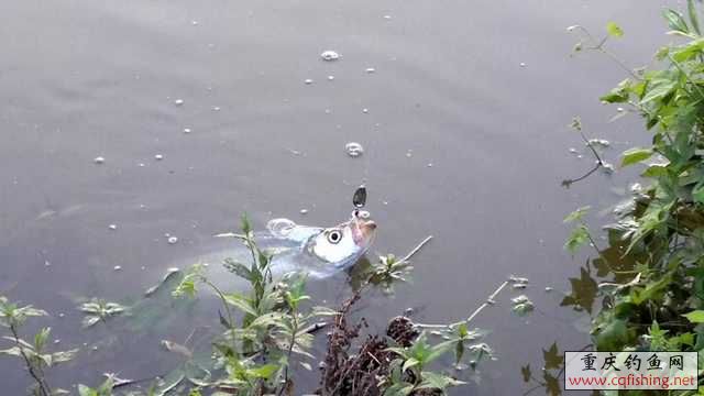 20110616115219.jpg