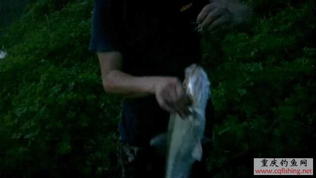 20110616120335.jpg