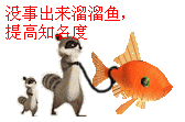 20110204_e4ae37502aec9f36a12chkOeOk6UHxSd.gif