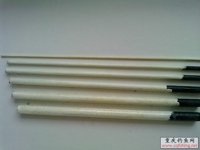 P1156_30-06-11_05.JPG