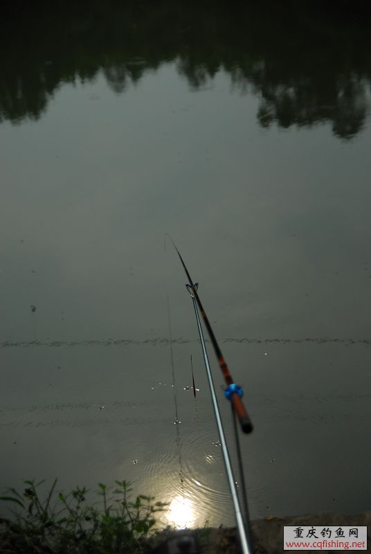 DSC_0007.JPG