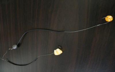 DSCF0033.jpg
