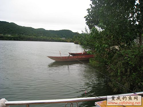 35.jpg