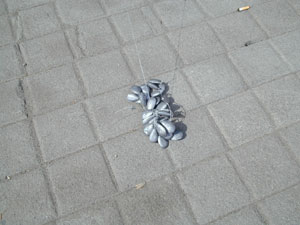 103.jpg