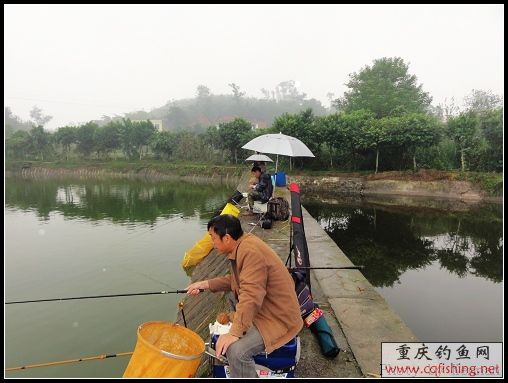 nEO_IMG_DSC02613.jpg