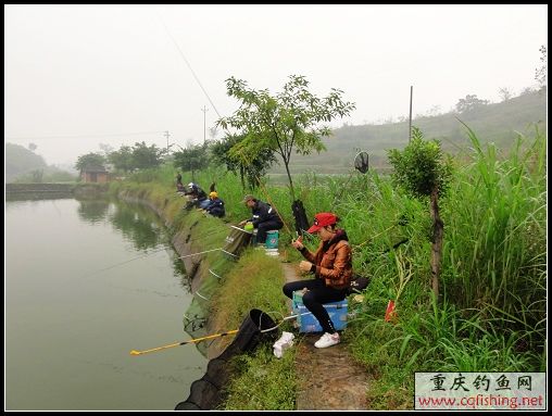 nEO_IMG_DSC02608.jpg